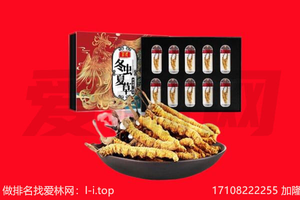 天长市回收虫草.jpg